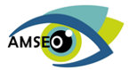 Amseo